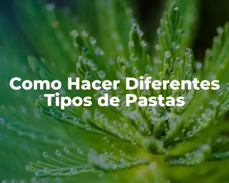Como Hacer Diferentes Tipos de Pastas