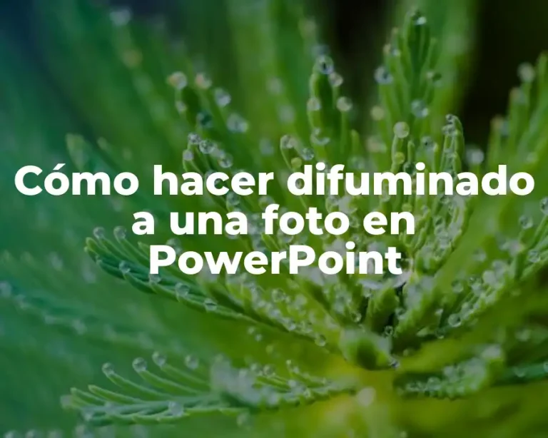 Cómo hacer difuminado a una foto en PowerPoint