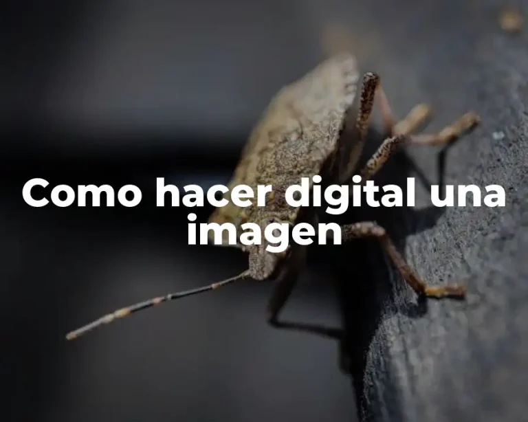 Como hacer digital una imagen