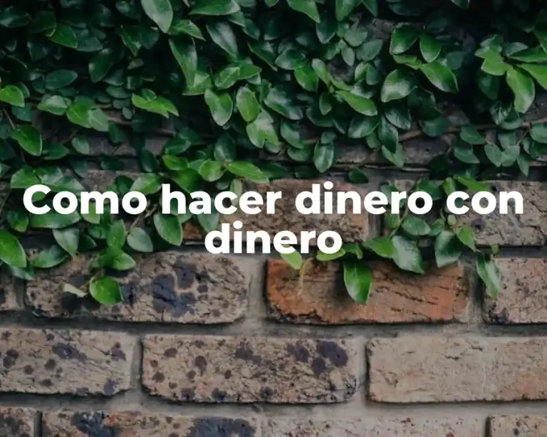 Como hacer dinero con dinero