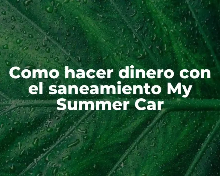 Como hacer dinero con el saneamiento My Summer Car