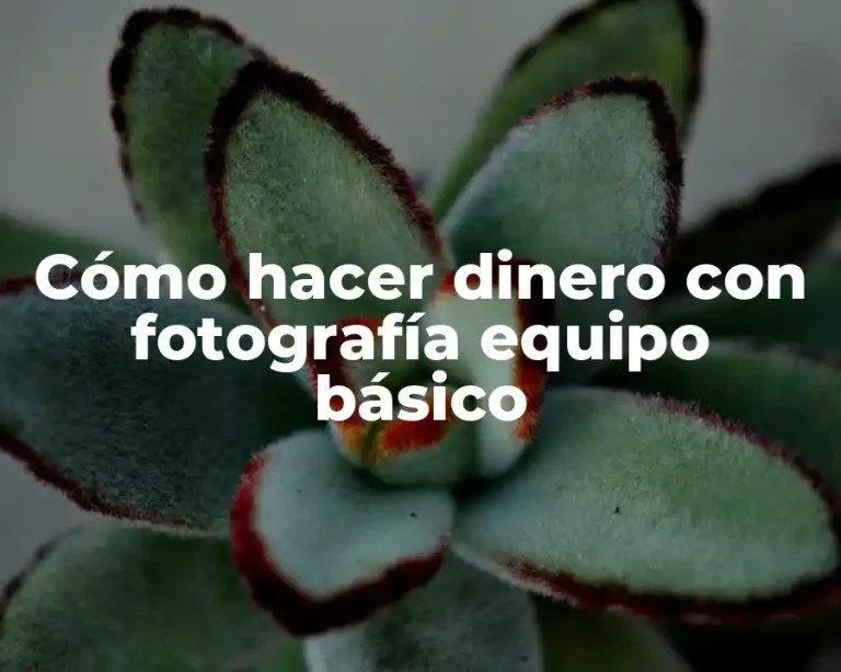 Cómo hacer dinero con fotografía equipo básico