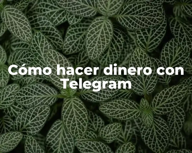 Cómo hacer dinero con Telegram