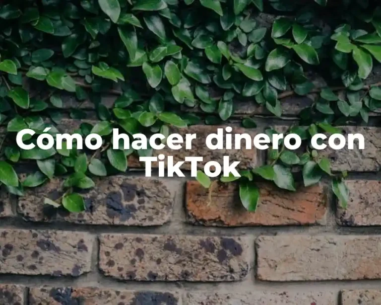 Cómo hacer dinero con TikTok