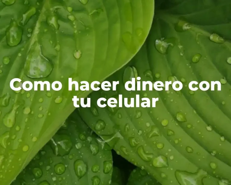 Como hacer dinero con tu celular