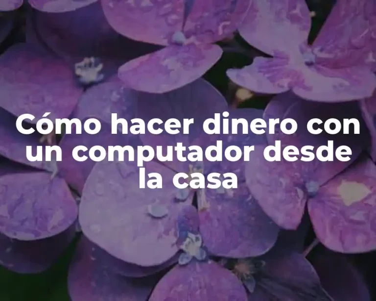 Cómo hacer dinero con un computador desde la casa