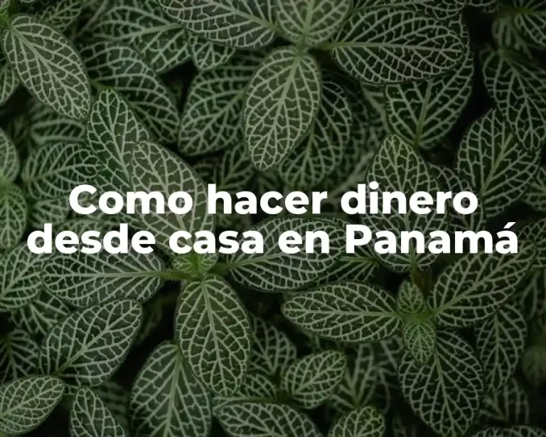 Como hacer dinero desde casa en Panamá