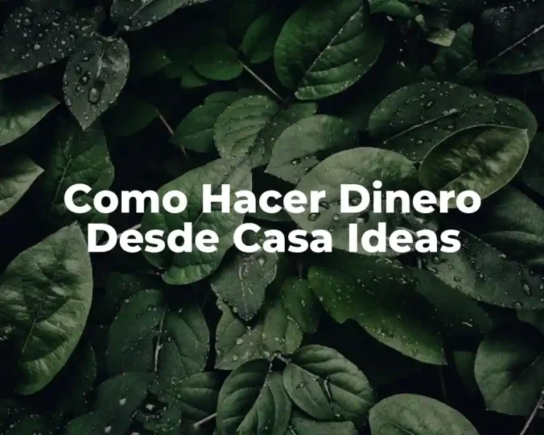 Como Hacer Dinero Desde Casa Ideas
