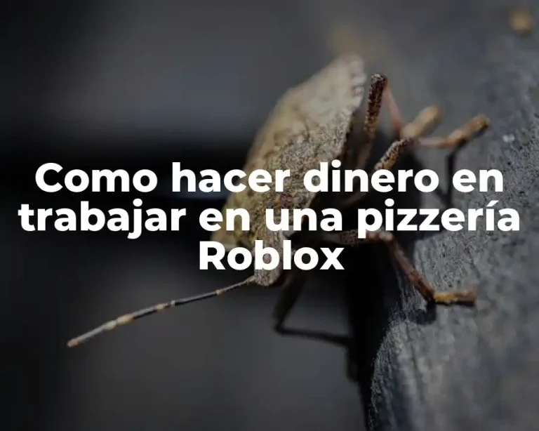Como hacer dinero en trabajar en una pizzería Roblox