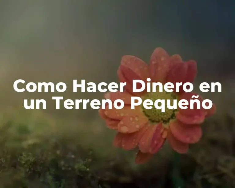 Como Hacer Dinero en un Terreno Pequeño