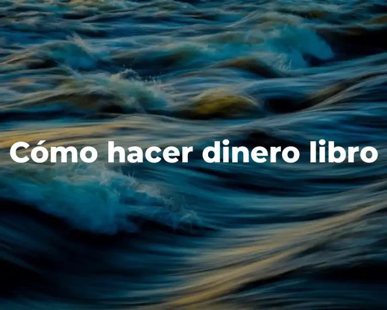Cómo hacer dinero libro