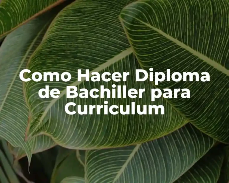 Como Hacer Diploma de Bachiller para Curriculum