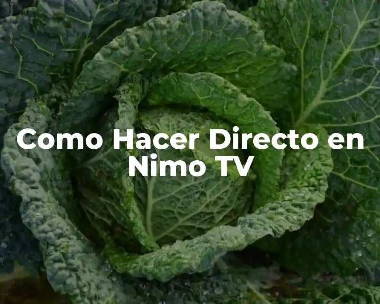 Como Hacer Directo en Nimo TV