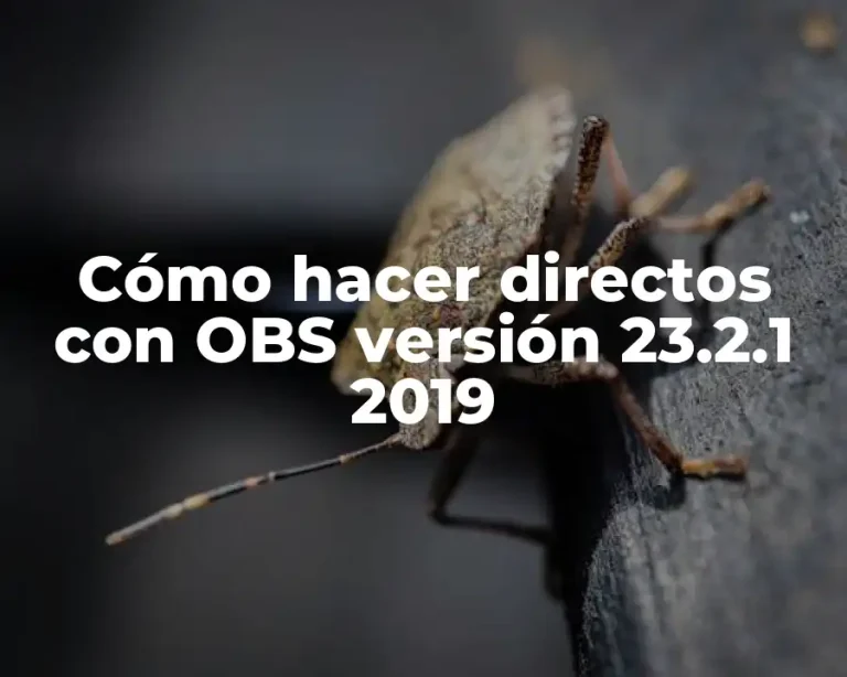 Cómo hacer directos con OBS versión 23.2.1 2019