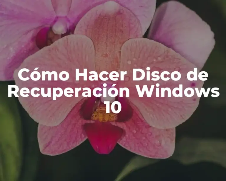 Cómo Hacer Disco de Recuperación Windows 10