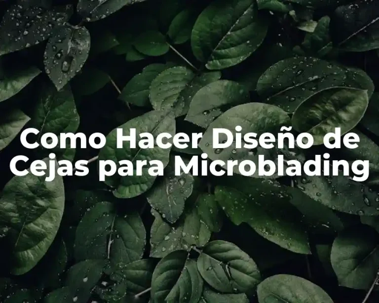 Como Hacer Diseño de Cejas para Microblading