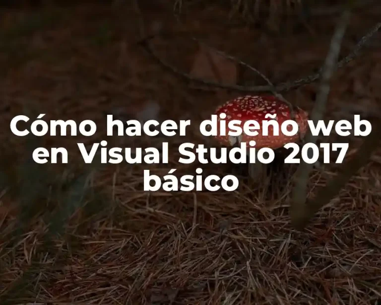 Cómo hacer diseño web en Visual Studio 2017 básico