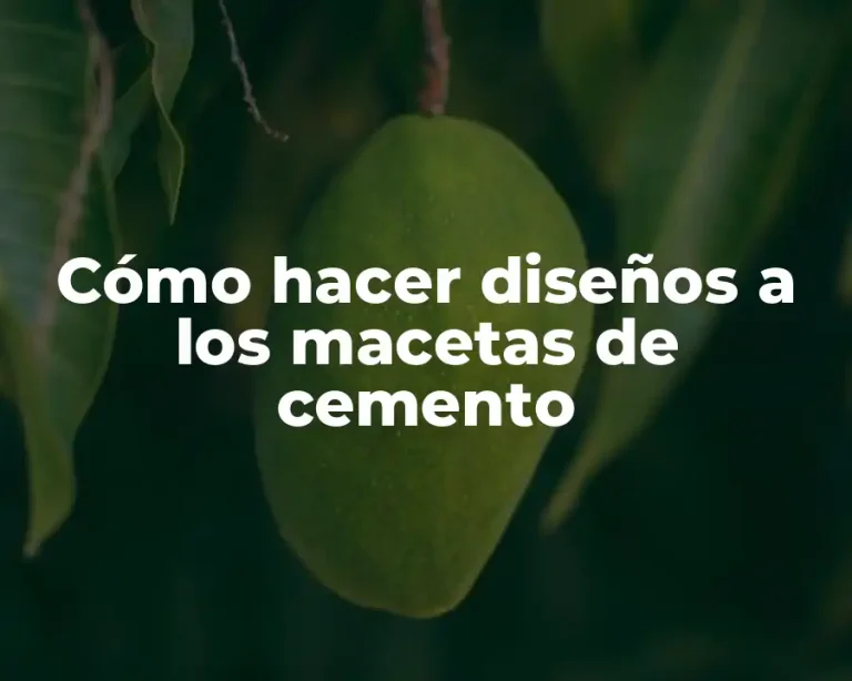 Cómo hacer diseños a los macetas de cemento