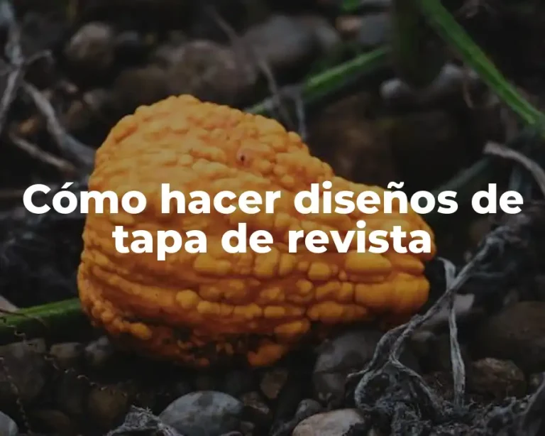 Cómo hacer diseños de tapa de revista