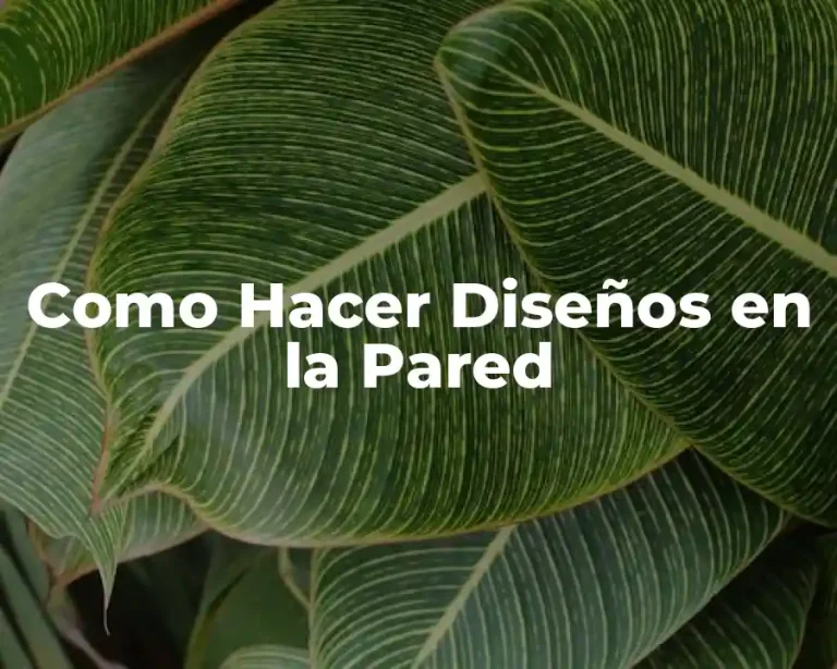 Como Hacer Diseños en la Pared