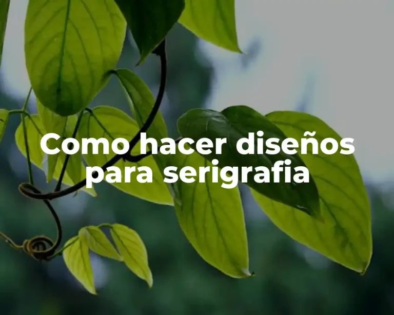 Como hacer diseños para serigrafia