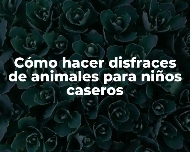 Cómo hacer disfraces de animales para niños caseros