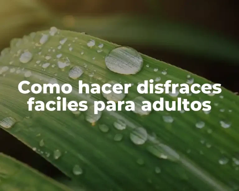 Como hacer disfraces faciles para adultos