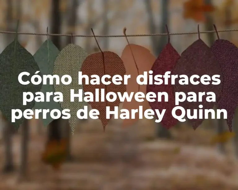 Cómo hacer disfraces para Halloween para perros de Harley Quinn