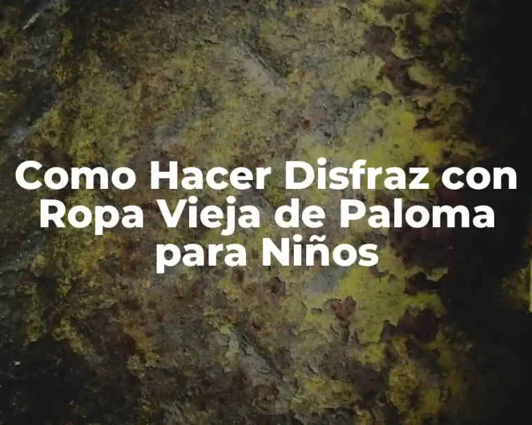 Como Hacer Disfraz con Ropa Vieja de Paloma para Niños