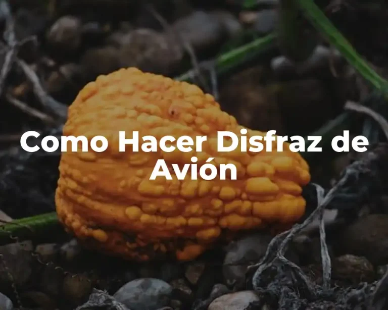 Como Hacer Disfraz de Avión