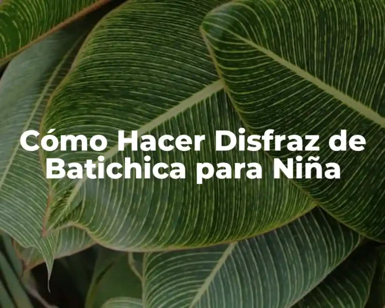 Cómo Hacer Disfraz de Batichica para Niña