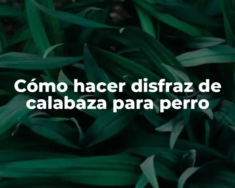Cómo hacer disfraz de calabaza para perro