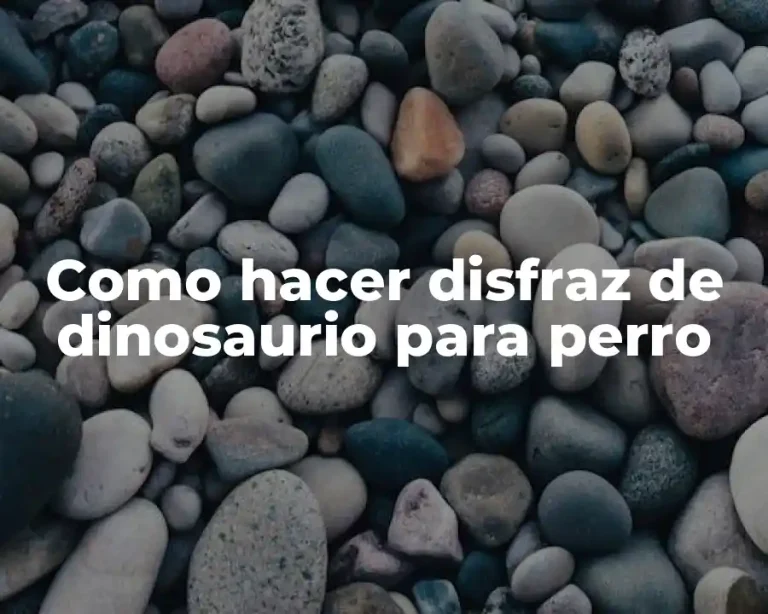 Como hacer disfraz de dinosaurio para perro