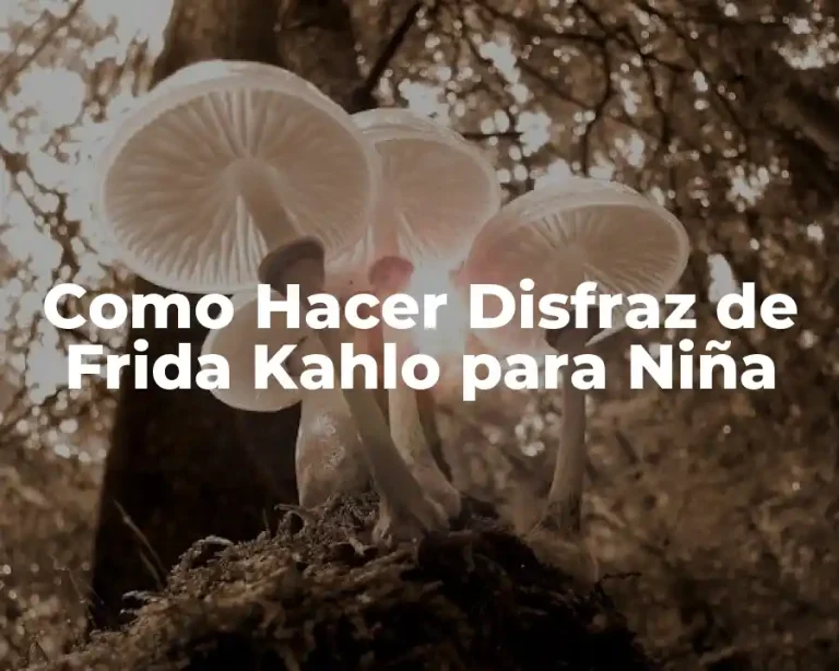 Como Hacer Disfraz de Frida Kahlo para Niña