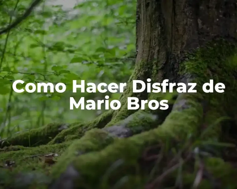 Como Hacer Disfraz de Mario Bros