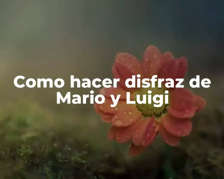 Como hacer disfraz de Mario y Luigi