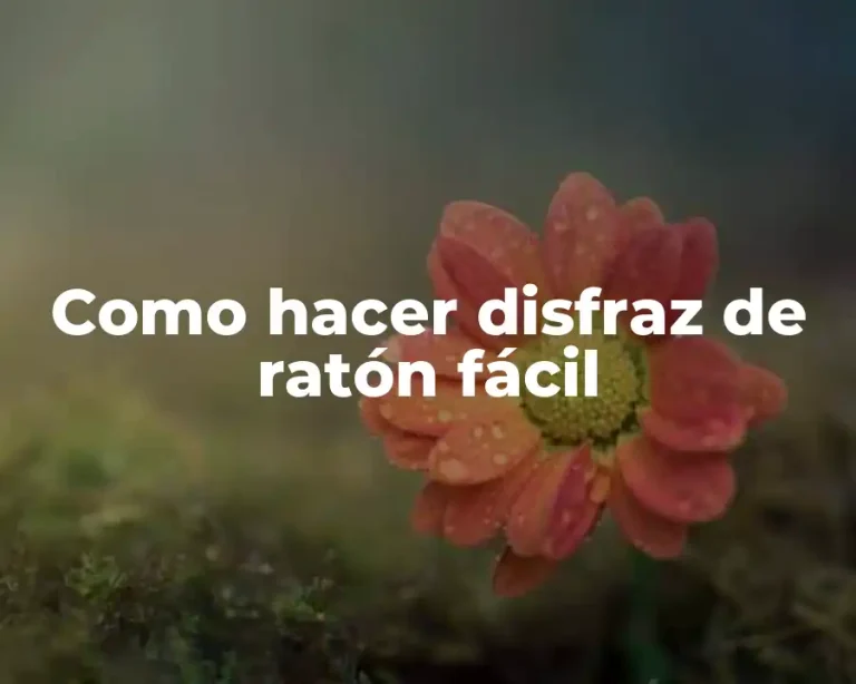 Como hacer disfraz de ratón fácil