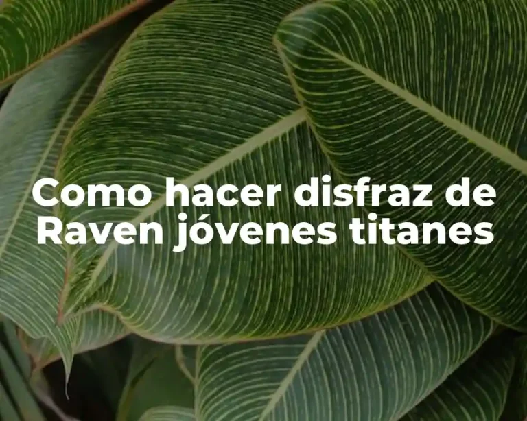 Como hacer disfraz de Raven jóvenes titanes