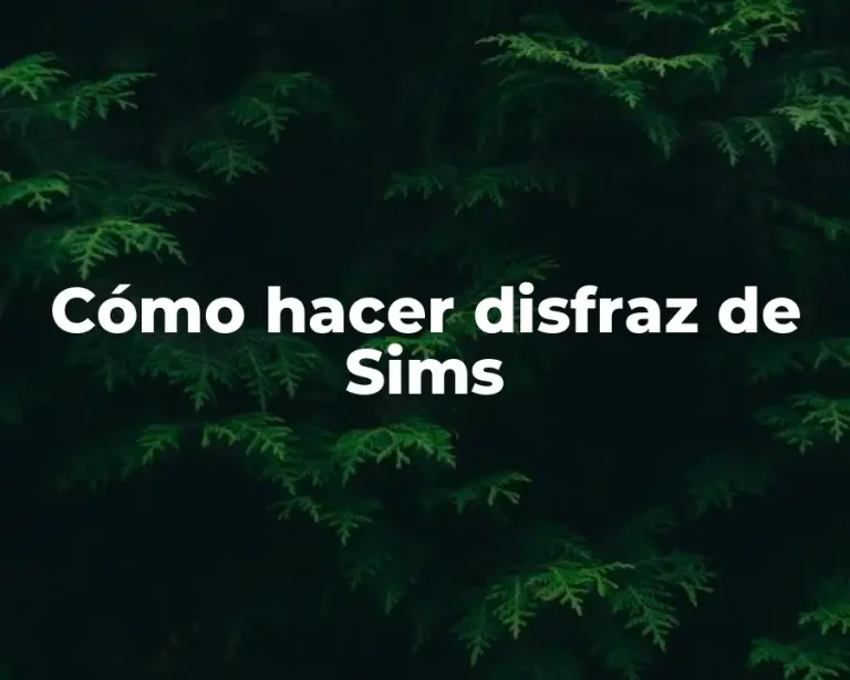 Cómo hacer disfraz de Sims