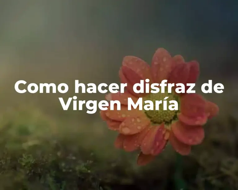 Como hacer disfraz de Virgen María