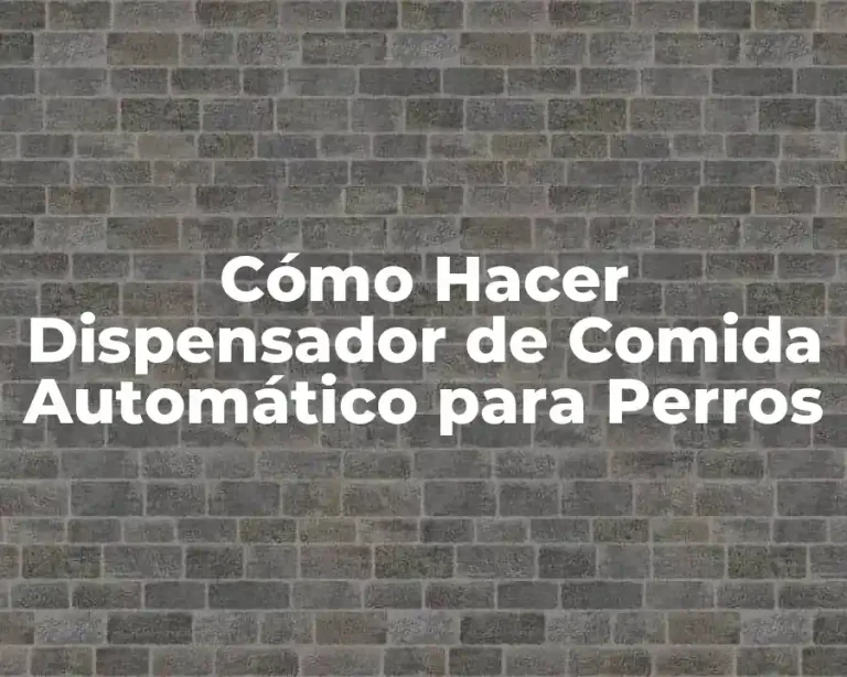 Cómo Hacer Dispensador de Comida Automático para Perros