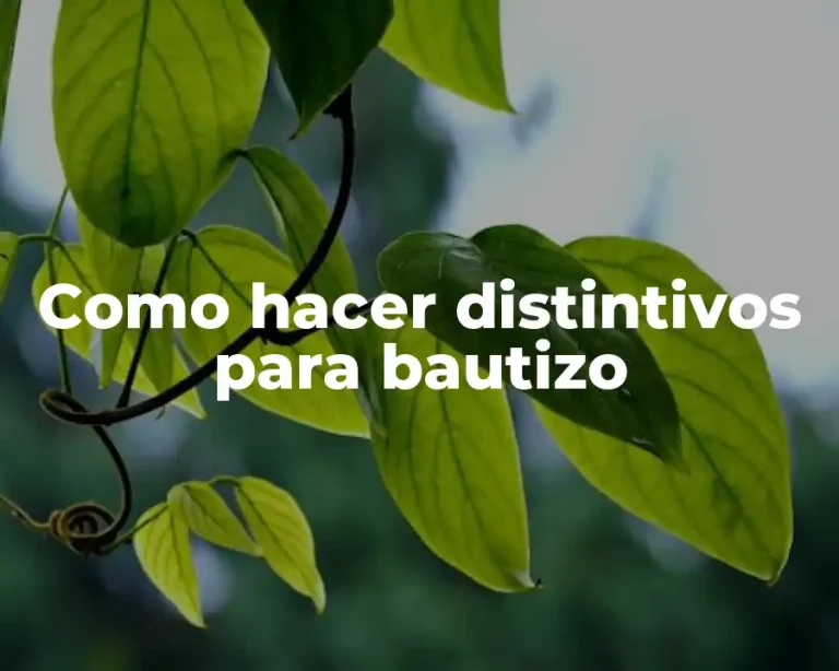 Como hacer distintivos para bautizo