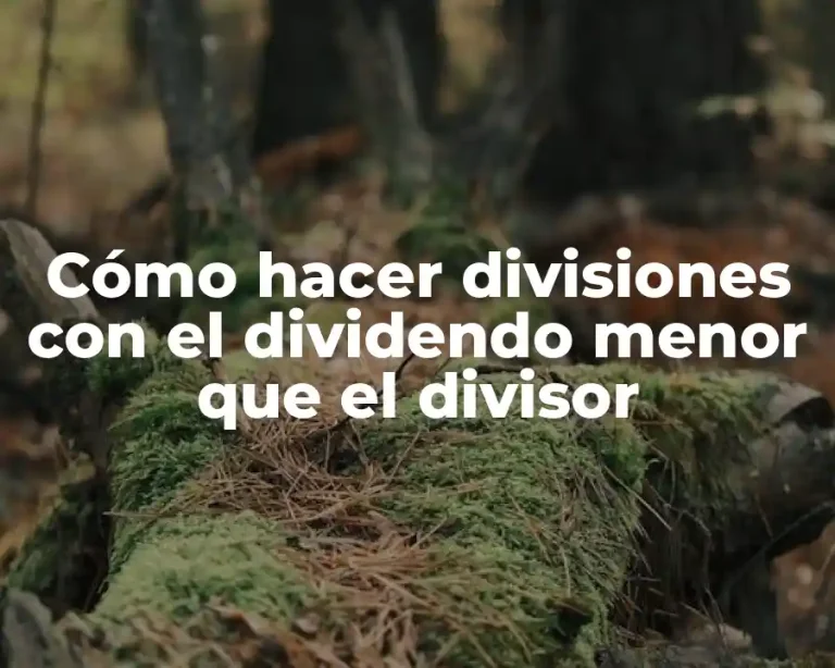 Cómo hacer divisiones con el dividendo menor que el divisor