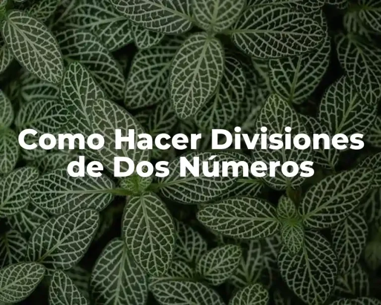 Como Hacer Divisiones de Dos Números
