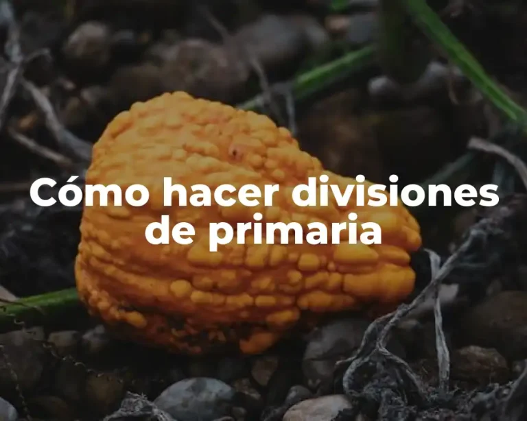 Cómo hacer divisiones de primaria