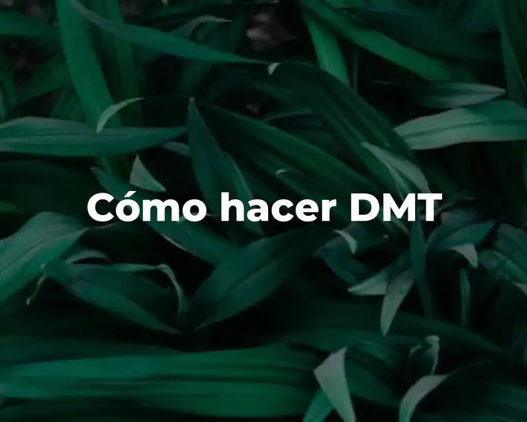 Cómo hacer DMT
