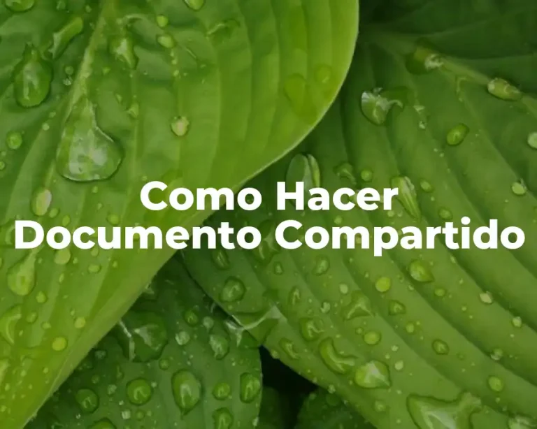 Como Hacer Documento Compartido