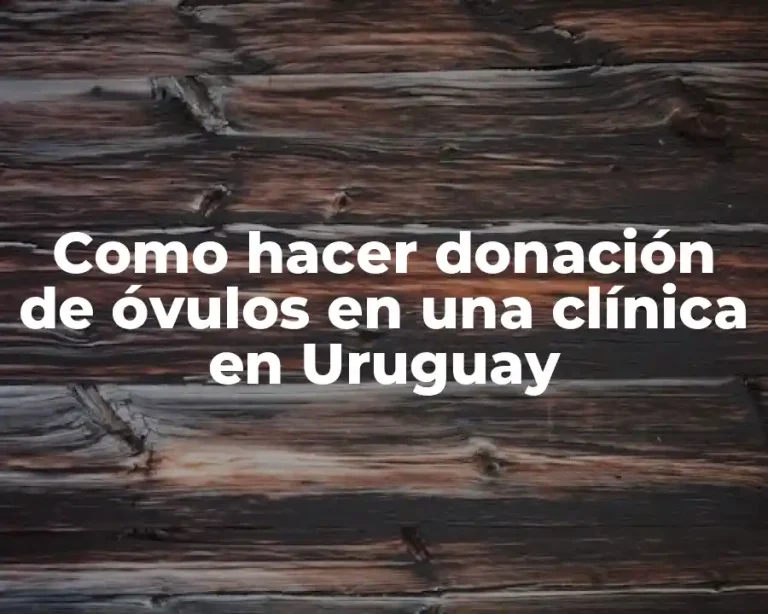 Como hacer donación de óvulos en una clínica en Uruguay