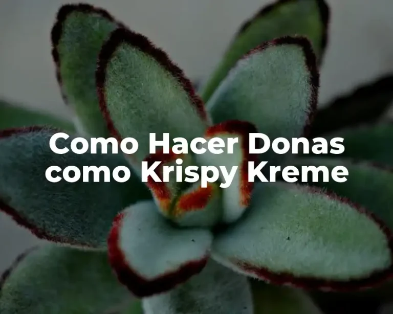 Como Hacer Donas como Krispy Kreme