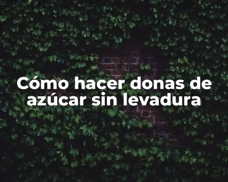 Cómo hacer donas de azúcar sin levadura